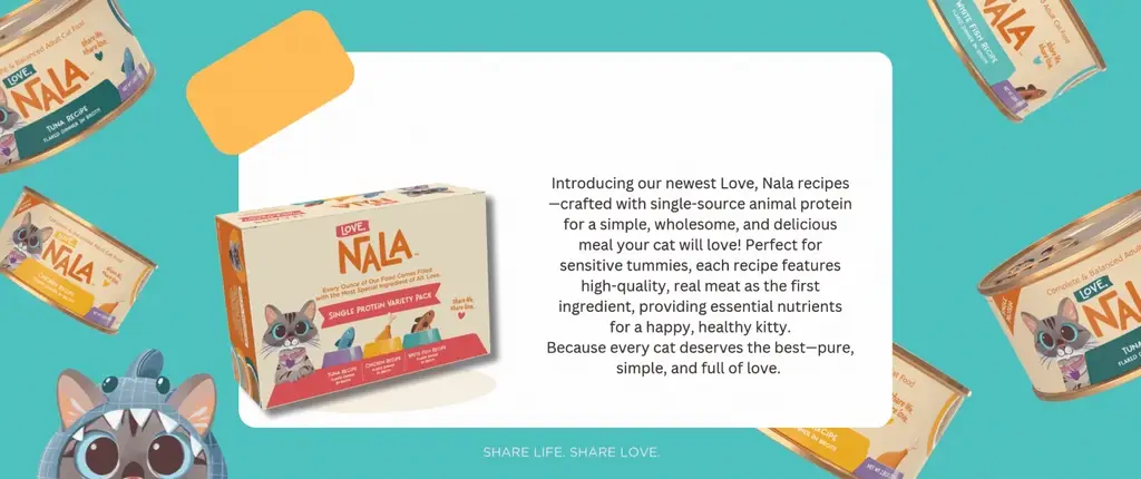 Meat-First Nutrition for Your Cat